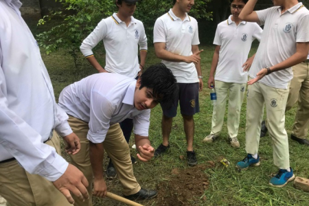 Aitchison's Environment