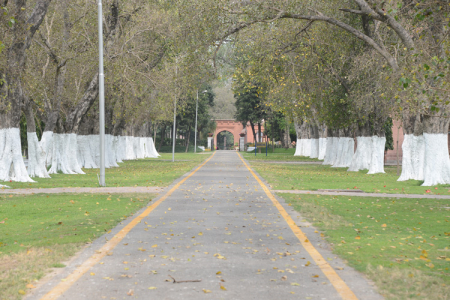 Aitchison's Environment