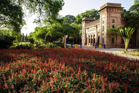 Aitchison's Environment